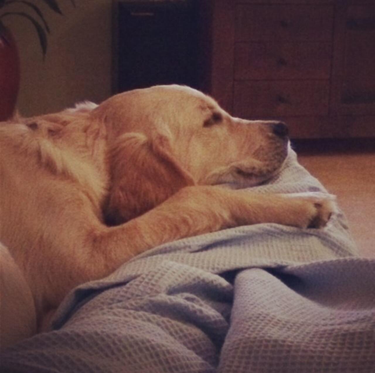 יום רביעי הנורא by Esti Ifraimov - Illustrated by אסתי איפראימוב , שני וקנין ואריאל לוי  - Ourboox.com