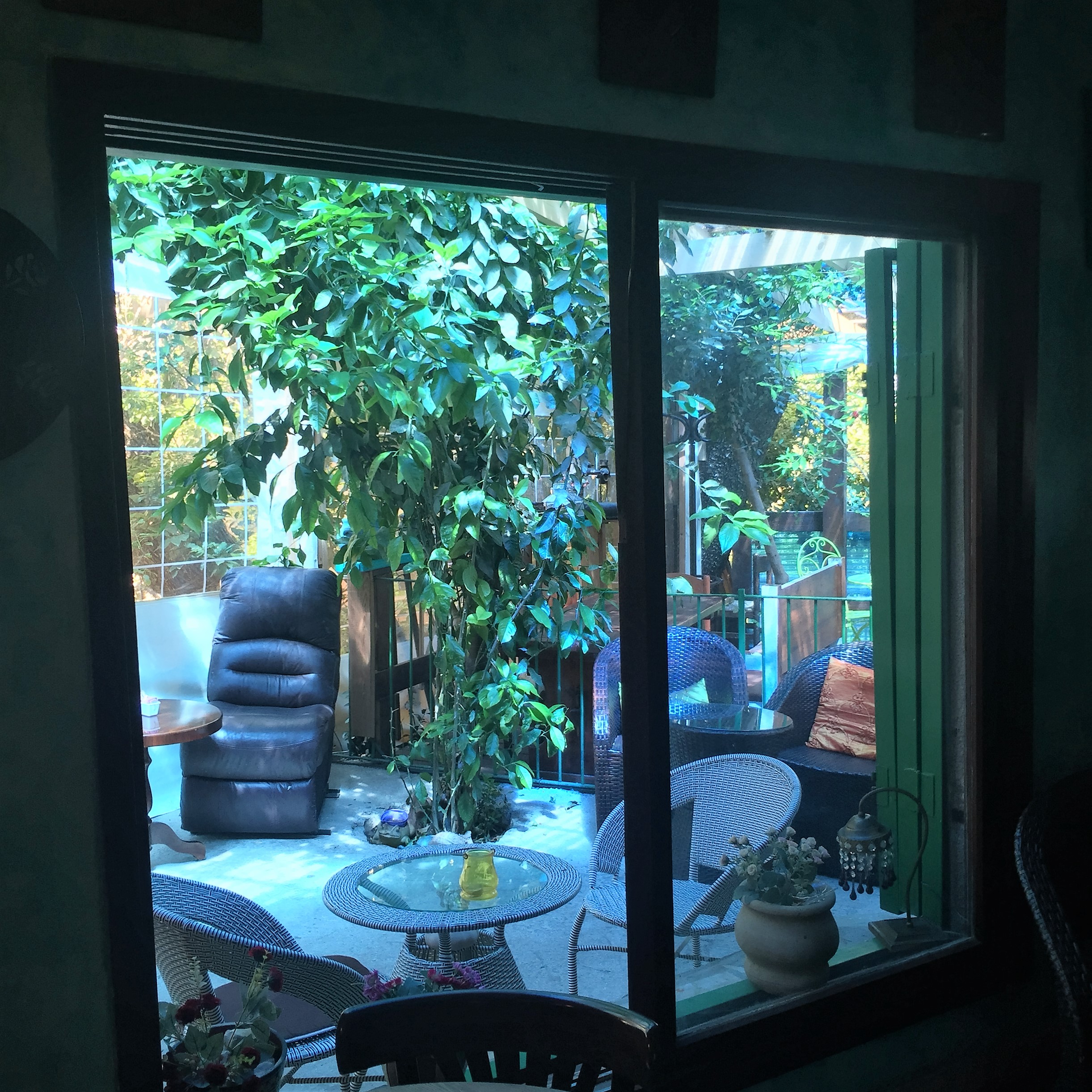 Song, Story and Breakfast in Safed by Mel Rosenberg - מל רוזנברג - Ourboox.com