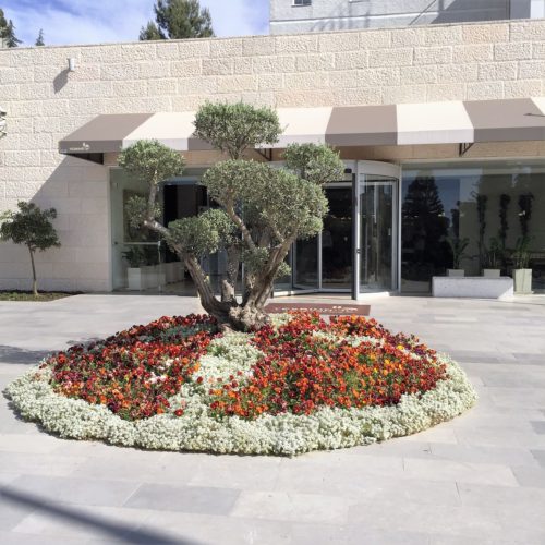 A Hotel Near Jerusalem by Mel Rosenberg - מל רוזנברג - Ourboox.com