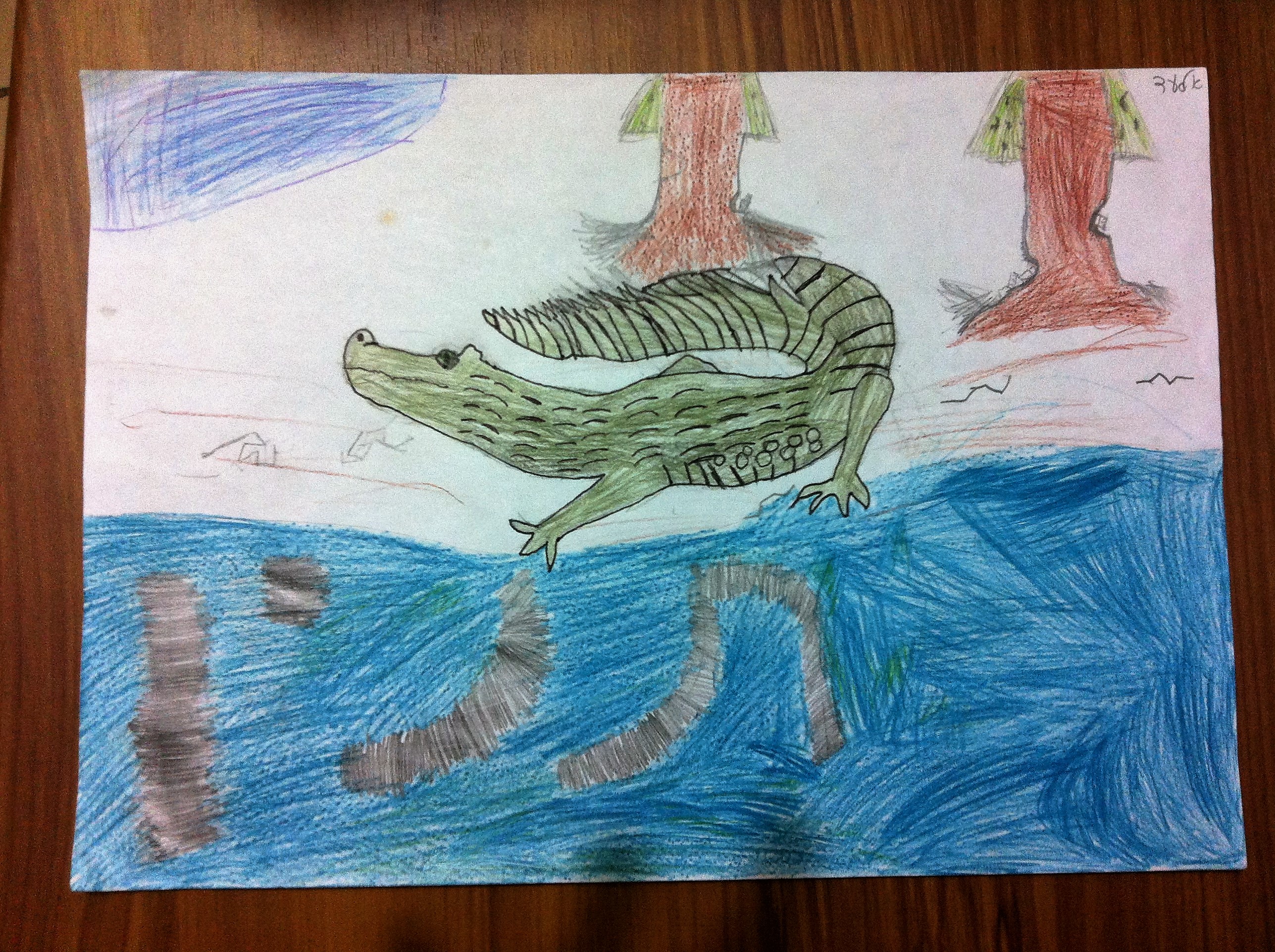 ספר מדוע ולמה של כיתה ג’2 by hagar - Illustrated by תלמידי כיתה ג