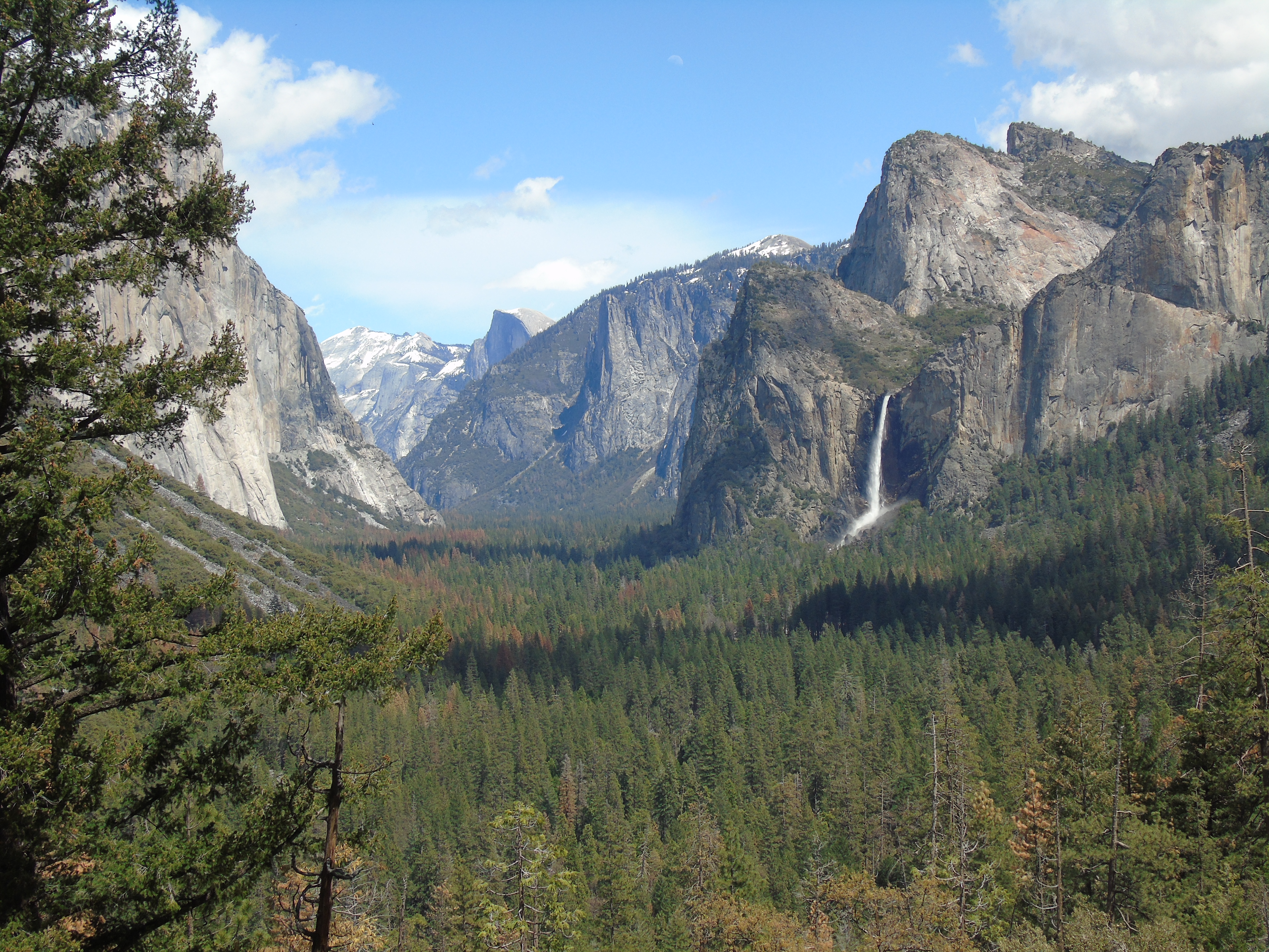 Trip To U.S.A by shahar gvura - Ourboox.com