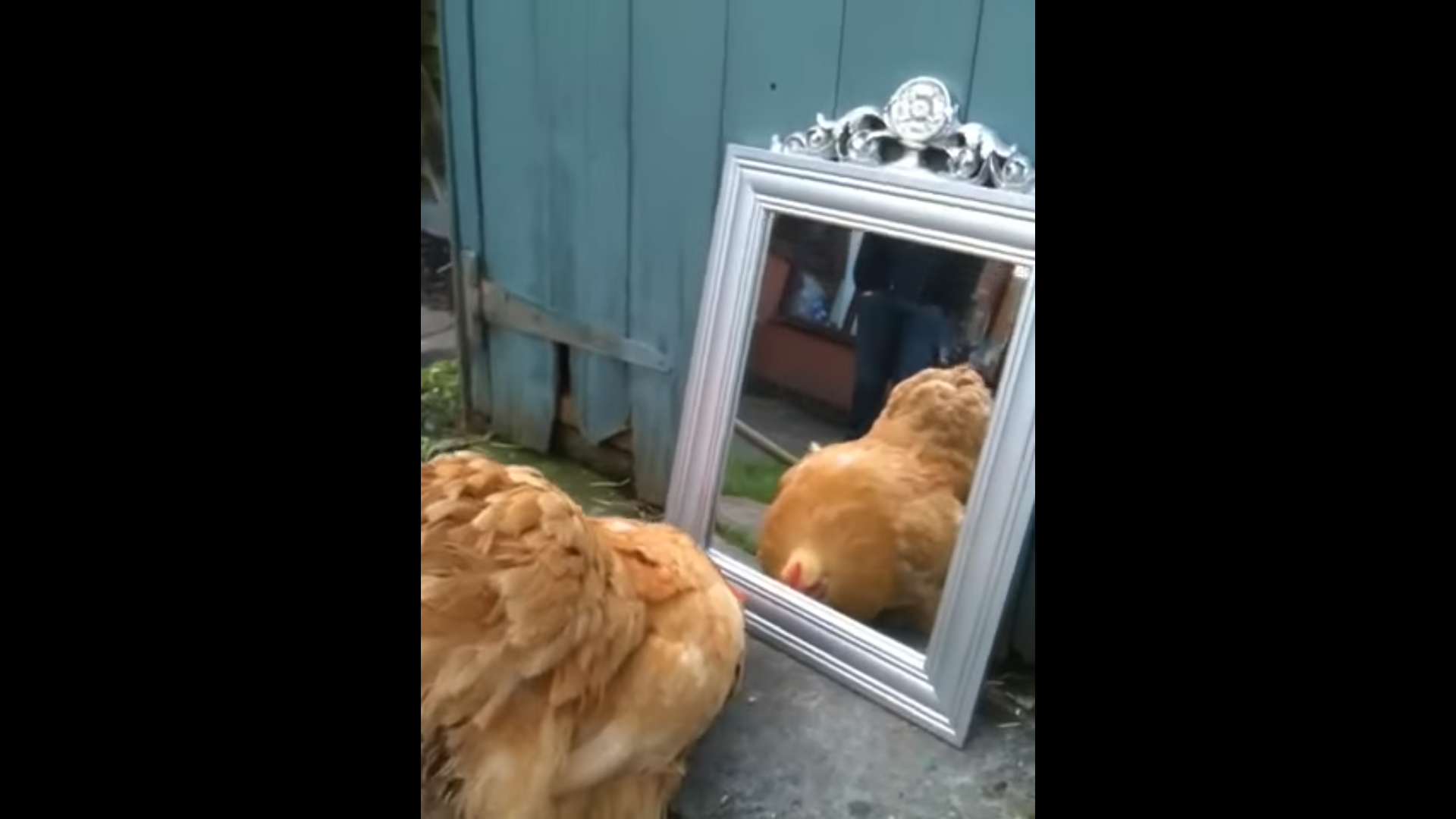 מניע הסקרנות by Maya Avigdor - Illustrated by מאיה אביגדור ויסמין פוגרוב - Ourboox.com