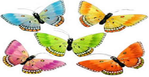 فعاليات روضة الفراشات 2016 by nora massad - Illustrated by المعلمة: نورة مساد - Ourboox.com