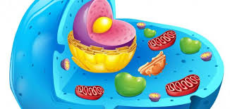 الخليه by raneen - Ourboox.com