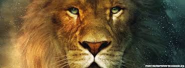 The Hero and the Lion by Mirian de Bianchetti - Illustrated by Rosario - Ourboox.com