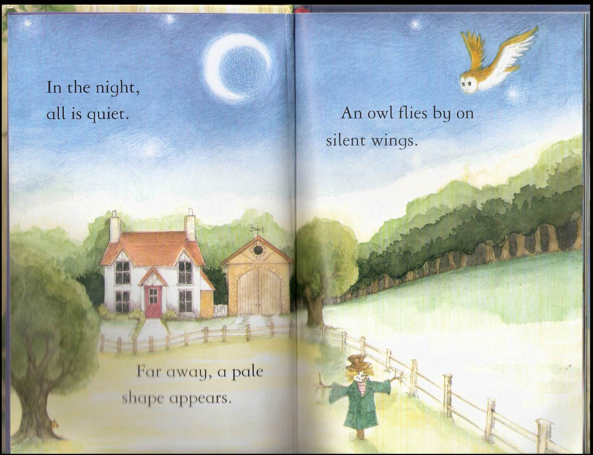 owls by Itamar  - Illustrated by Itamar Hollender - Ourboox.com