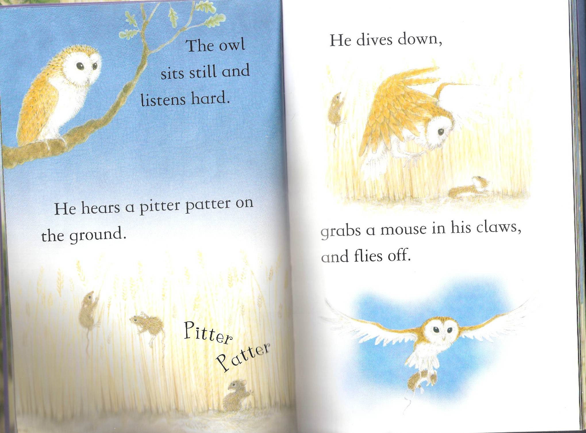 owls by Itamar  - Illustrated by Itamar Hollender - Ourboox.com