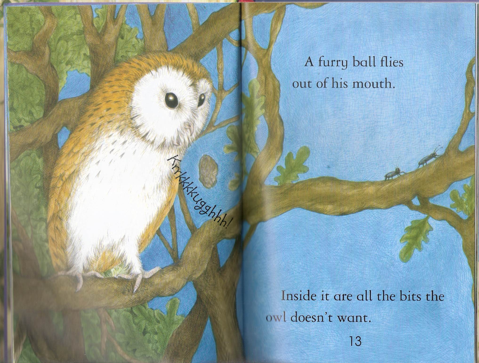 owls by Itamar  - Illustrated by Itamar Hollender - Ourboox.com