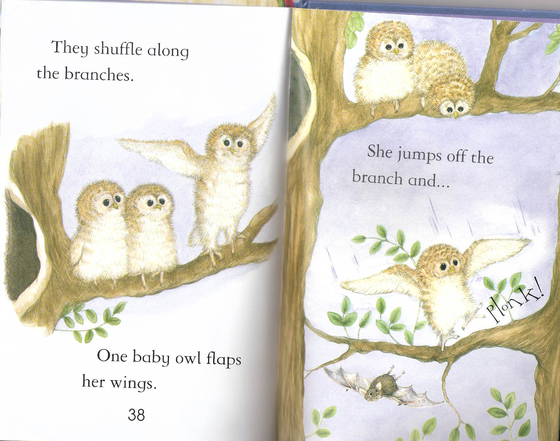 owls by Itamar  - Illustrated by Itamar Hollender - Ourboox.com