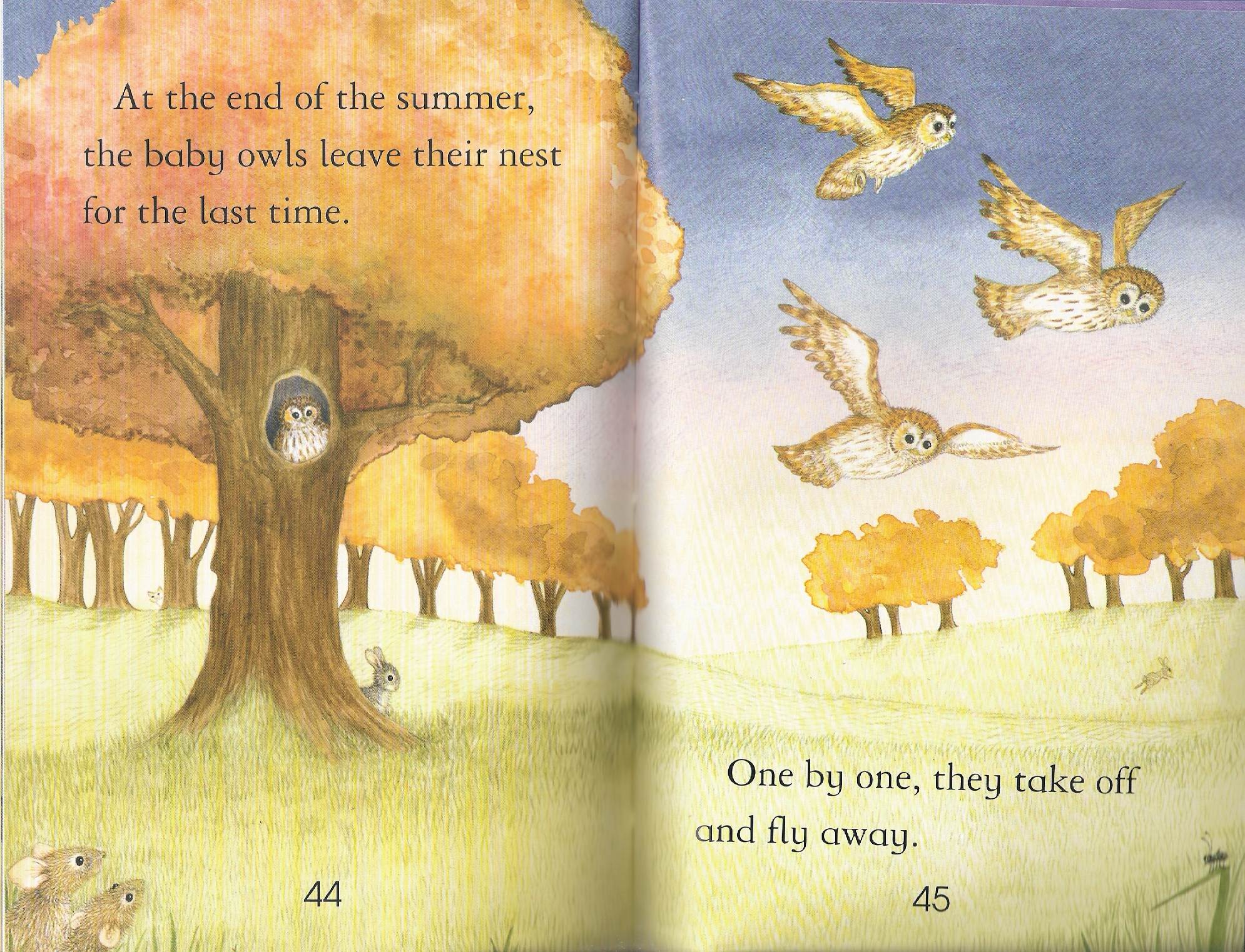 owls by Itamar  - Illustrated by Itamar Hollender - Ourboox.com