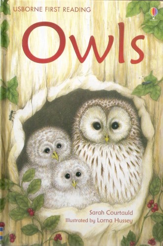 owls by Itamar  - Illustrated by Itamar Hollender - Ourboox.com