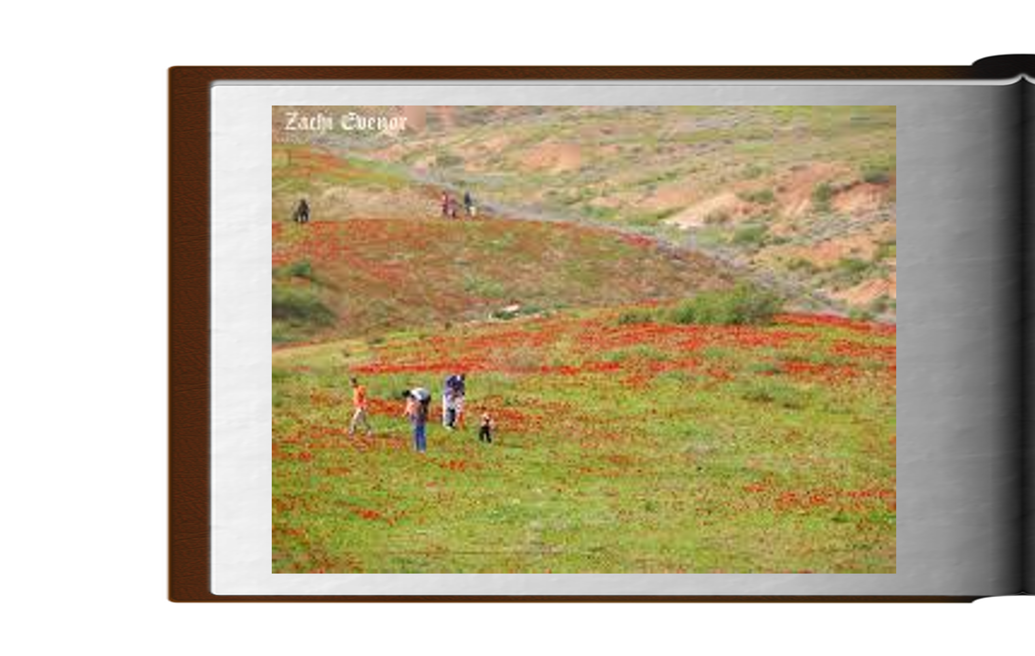 אגדת הפרחים האדומים by Avia stern - Ourboox.com