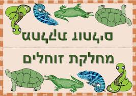 בעלי חוליות by lilach asulin - Ourboox.com