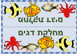 בעלי חוליות by lilach asulin - Ourboox.com