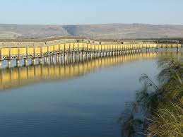 עבודת חקר על אגם החולה by .  - Illustrated by עמית גולדשטיין ועדן יוניוב - Ourboox.com