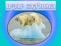 בעלי חוליות by lilach asulin - Ourboox.com