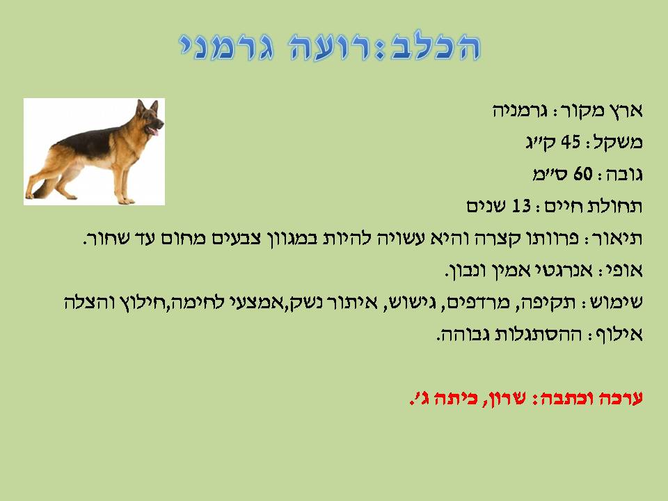 כתבים צעירים גיליון מספר 2 by young writers - Illustrated by כתבים צעירים - Ourboox.com