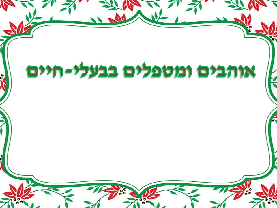 כתבים צעירים גיליון מספר 2 by young writers - Illustrated by כתבים צעירים - Ourboox.com