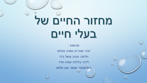 מחזור החיים בבעלי חיים by זאולוגיה תשע