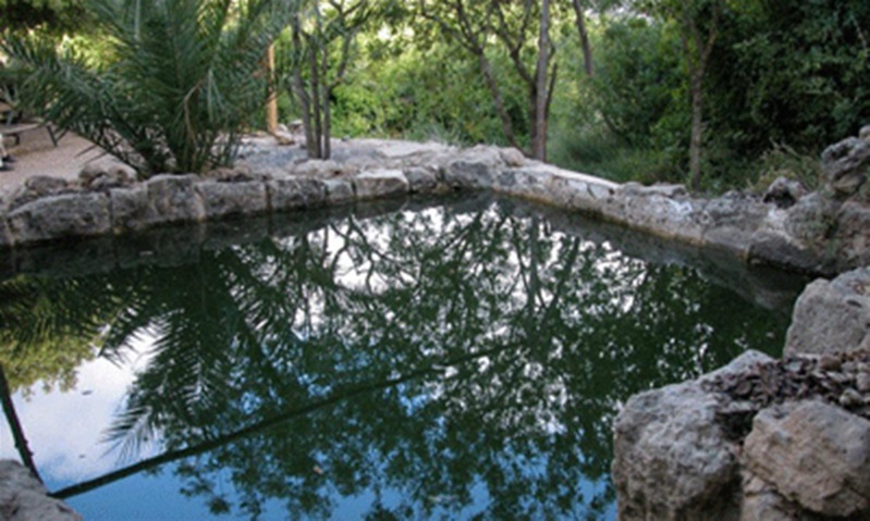 A Class Trip to Jerusalem by noam gido - Ourboox.com