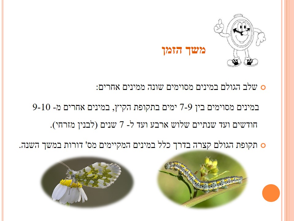 מחזור החיים בבעלי חיים by זאולוגיה תשע"ו - Ourboox.com