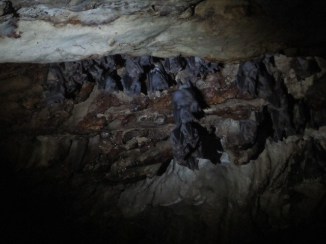 A Class Trip to Jerusalem by noam gido - Ourboox.com