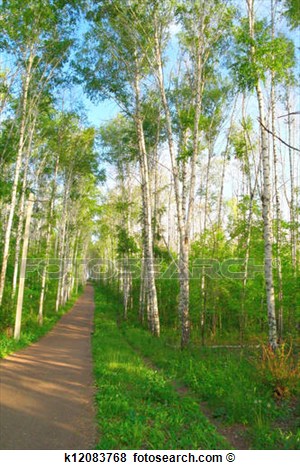 רוח הרפאים של ג’ומבי by שכבת ג