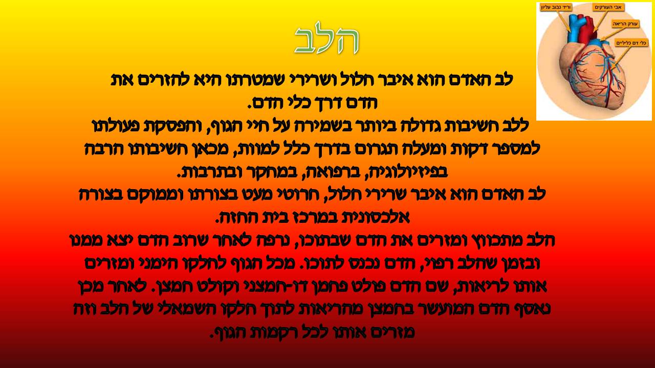 כתבים צעירים גיליון מספר 2 by young writers - Illustrated by כתבים צעירים - Ourboox.com