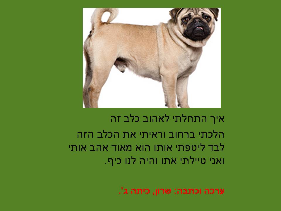 כתבים צעירים גיליון מספר 2 by young writers - Illustrated by כתבים צעירים - Ourboox.com