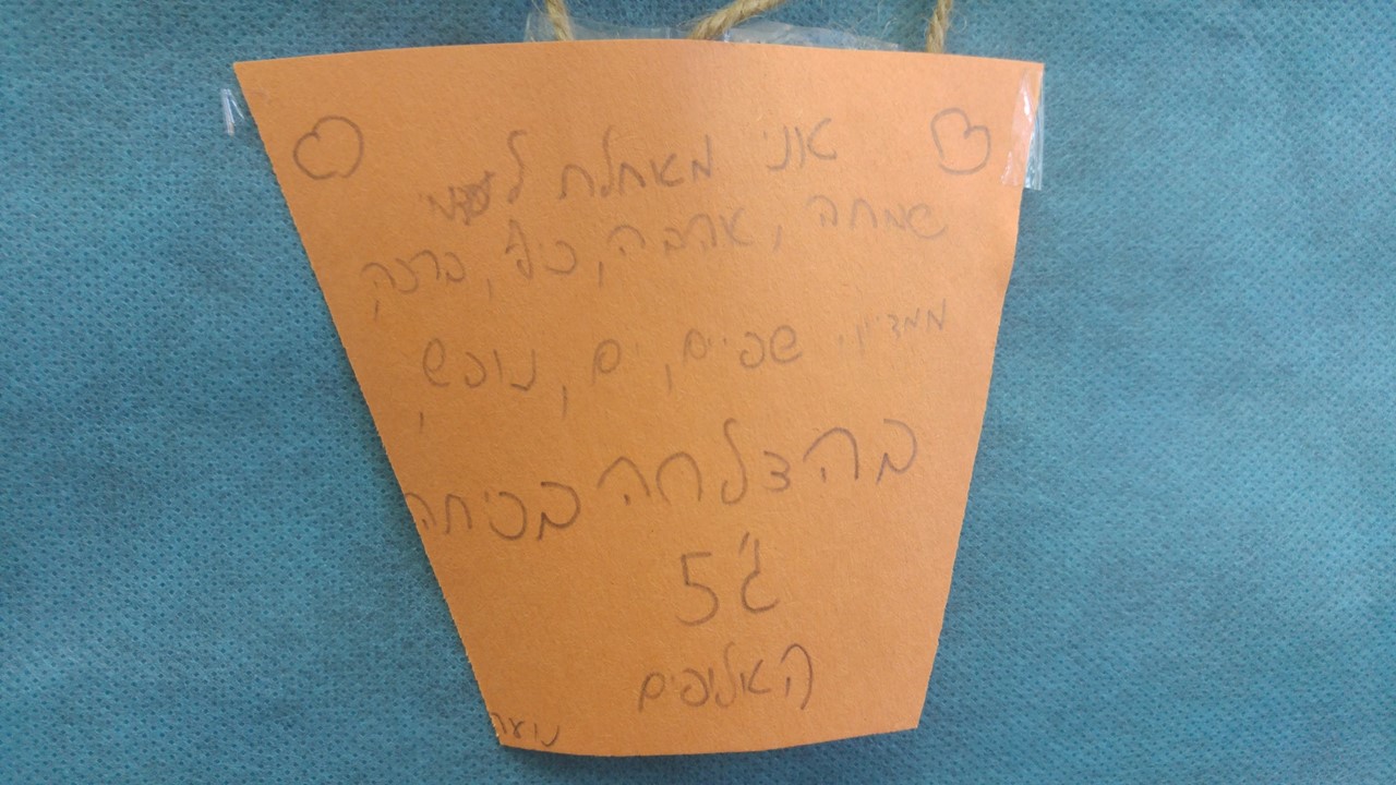 פורחים לחופש הגדול by אילן  - Illustrated by כתבו תלמידי כיתה ב