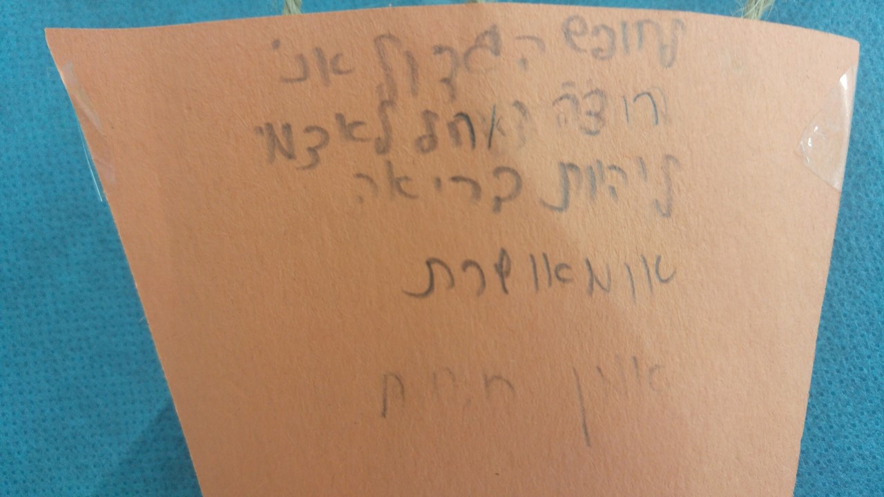 פורחים לחופש הגדול by אילן  - Illustrated by כתבו תלמידי כיתה ב