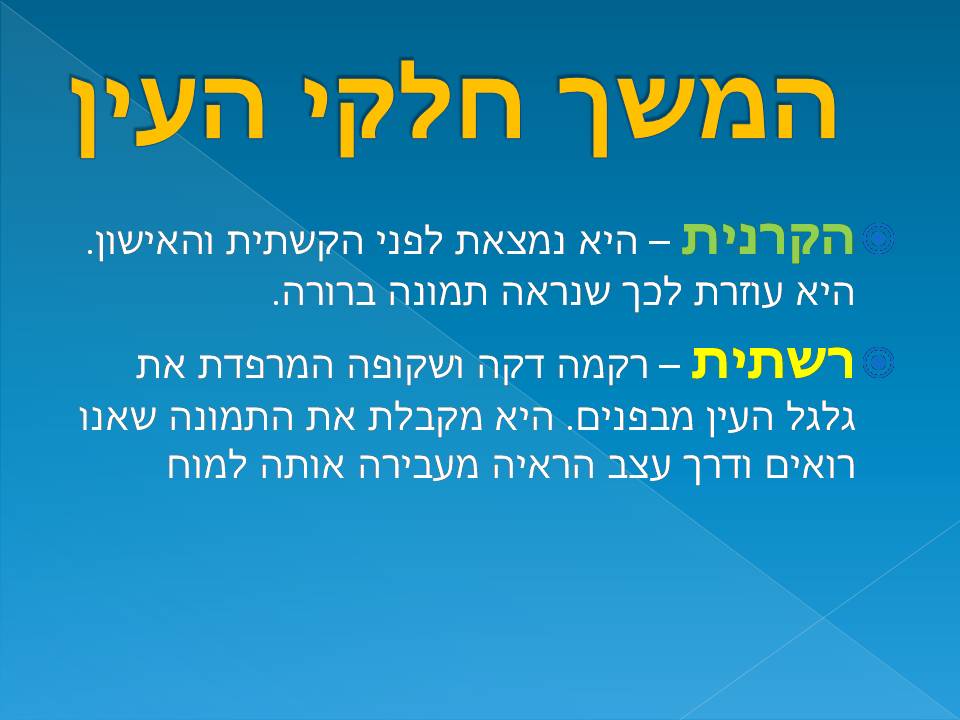 כתבים צעירים גיליון מספר 2 by young writers - Illustrated by כתבים צעירים - Ourboox.com