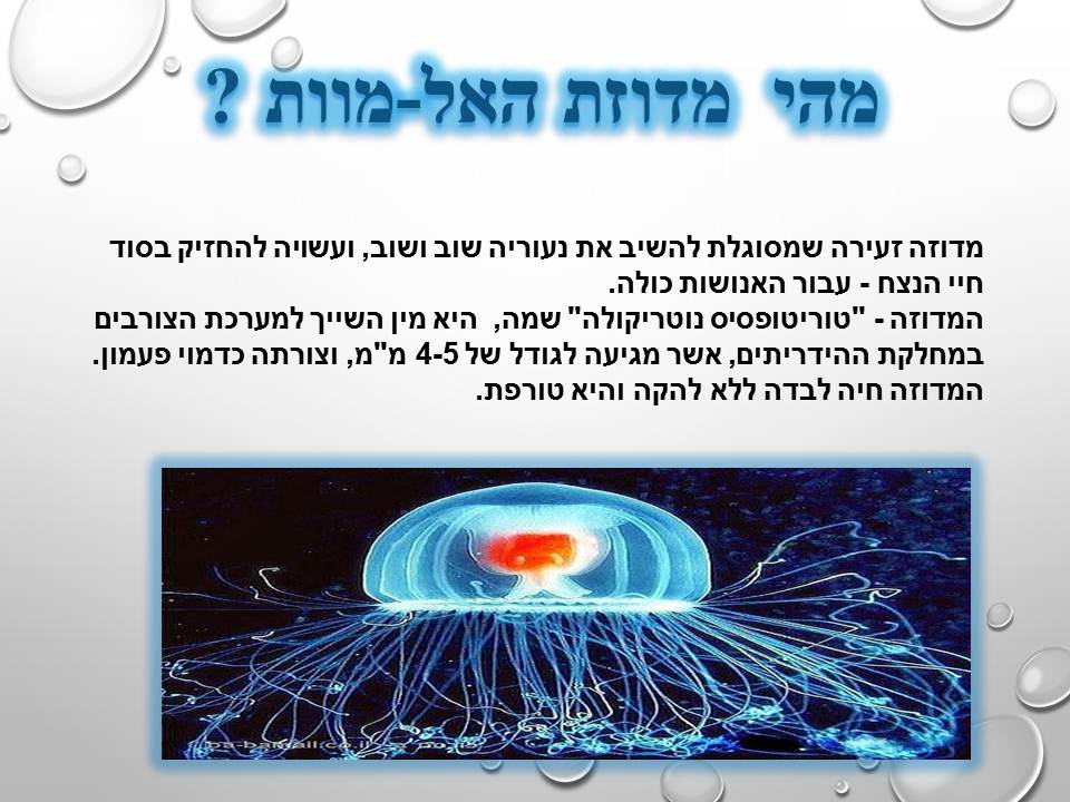 מחזור החיים בבעלי חיים by זאולוגיה תשע"ו - Ourboox.com