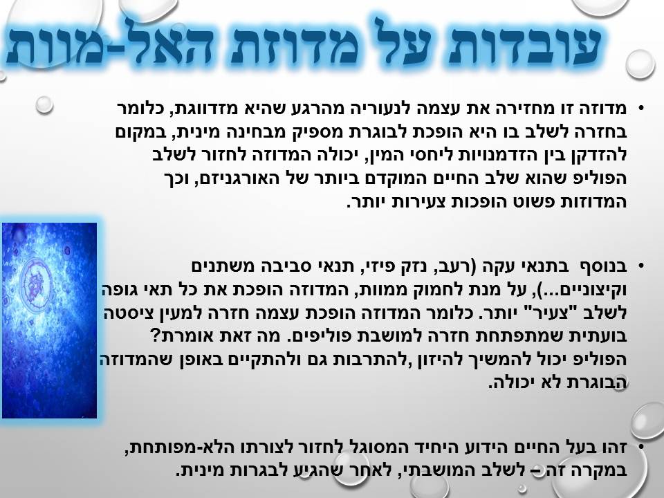 מחזור החיים בבעלי חיים by זאולוגיה תשע"ו - Ourboox.com