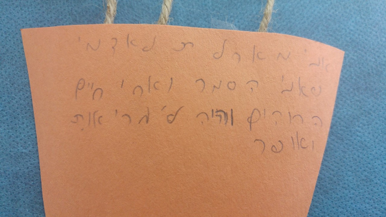 פורחים לחופש הגדול by אילן  - Illustrated by כתבו תלמידי כיתה ב