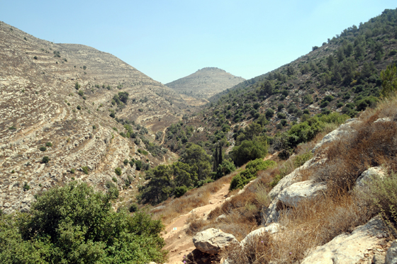 trip to Jerusalem by noa meler - Ourboox.com