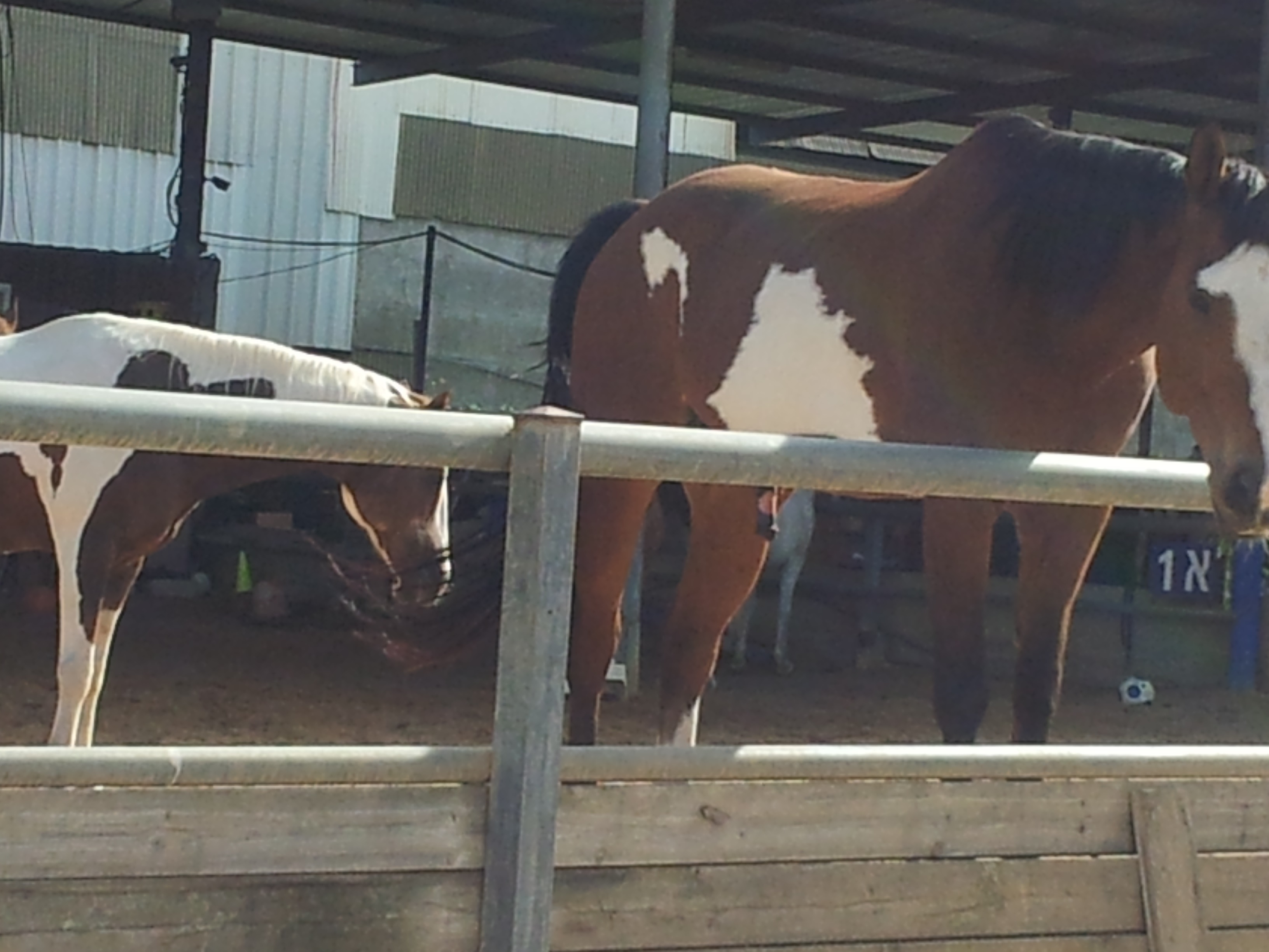 המושב שלי by liya - Illustrated by גל אגוזי,ליה שטיינמן,רז שריר,דניאל כהן - Ourboox.com