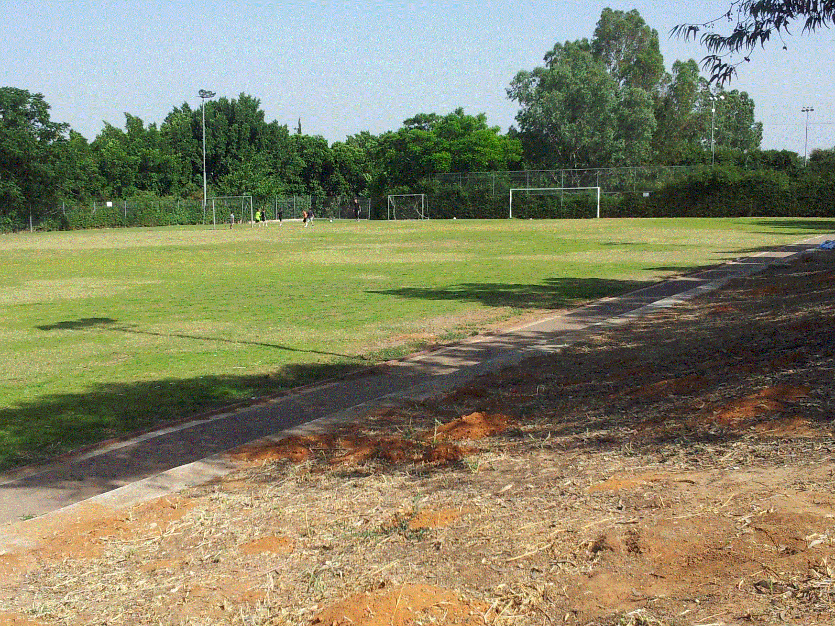 המושב שלי by liya - Illustrated by גל אגוזי,ליה שטיינמן,רז שריר,דניאל כהן - Ourboox.com