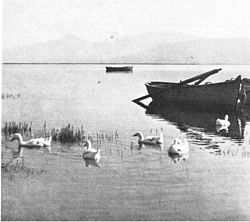 עבודת חקר על אגם החולה by .  - Illustrated by עמית גולדשטיין ועדן יוניוב - Ourboox.com