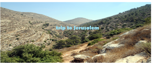 trip to Jerusalem by noa meler - Ourboox.com