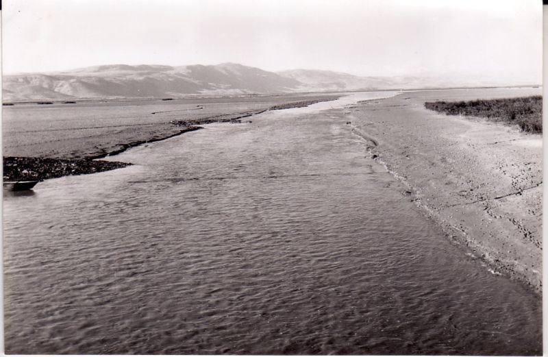 עבודת חקר על אגם החולה by .  - Illustrated by עמית גולדשטיין ועדן יוניוב - Ourboox.com