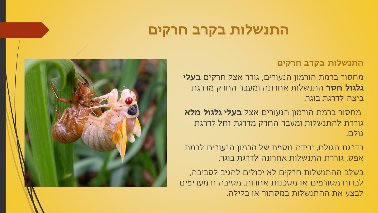 מחזור החיים בבעלי חיים by זאולוגיה תשע"ו - Ourboox.com