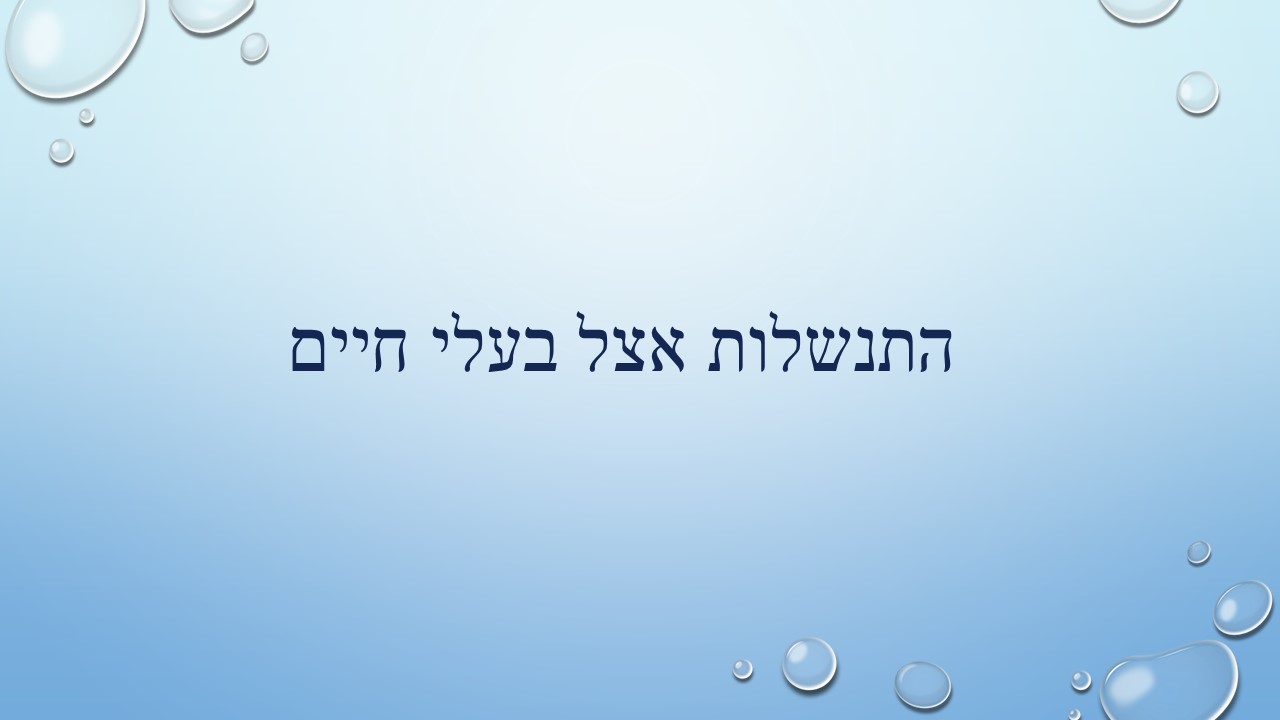 מחזור החיים בבעלי חיים by זאולוגיה תשע"ו - Ourboox.com