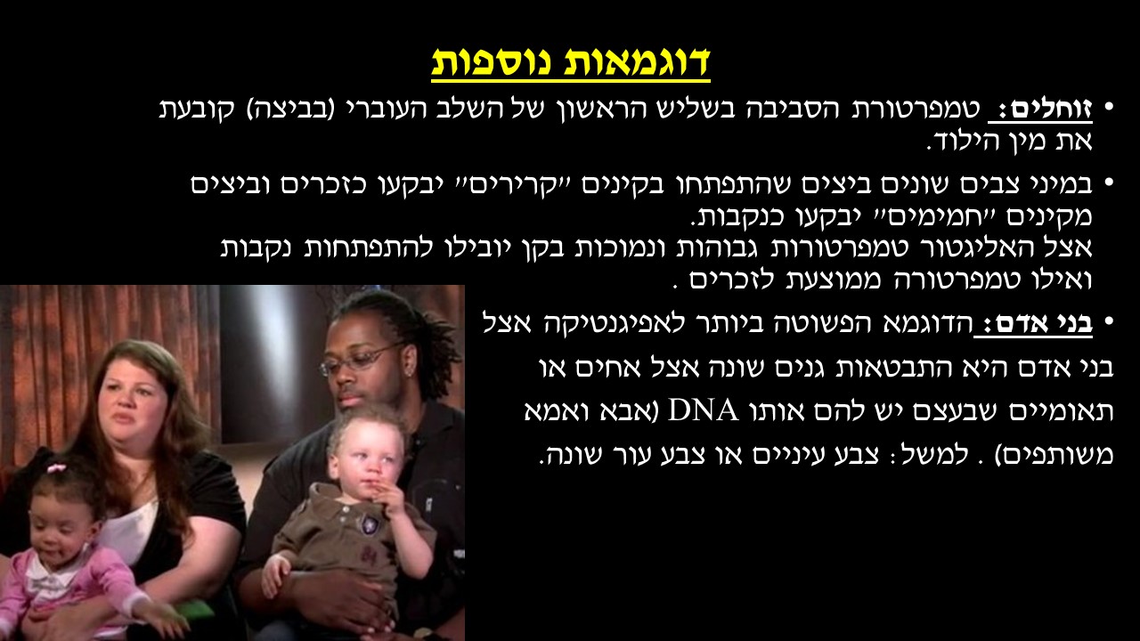 מחזור החיים בבעלי חיים by זאולוגיה תשע"ו - Ourboox.com