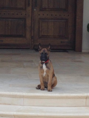 הצלת העולם by שכבת ג' - בית חינוך אזורי צופית - Illustrated by אפריל מור - Ourboox.com