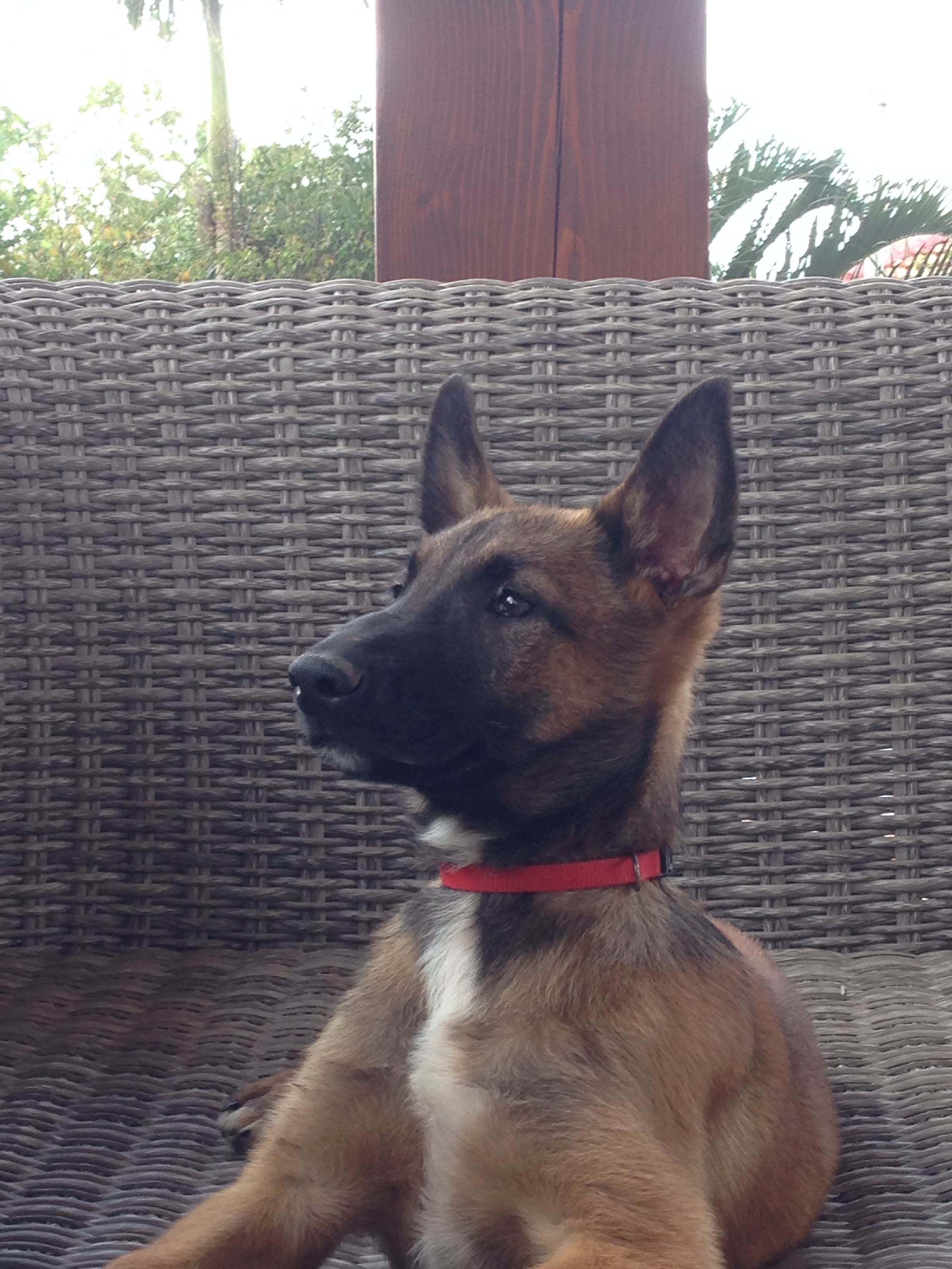 הצלת העולם by שכבת ג