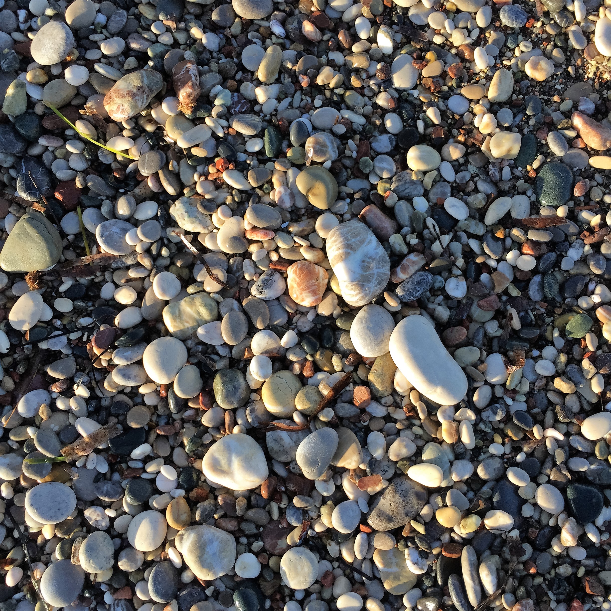 Beach Combing in Rhodes by Mel Rosenberg - מל רוזנברג - Ourboox.com