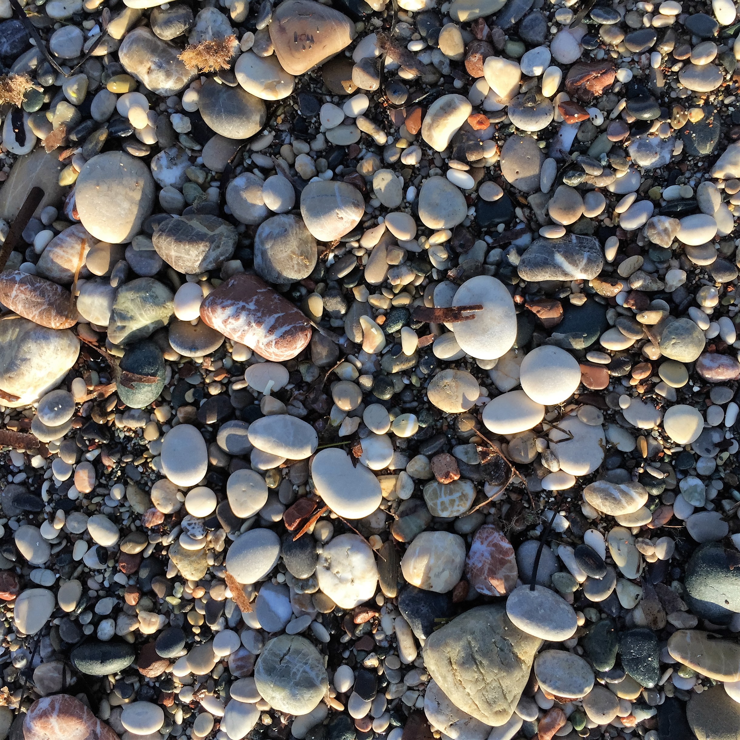 Beach Combing in Rhodes by Mel Rosenberg - מל רוזנברג - Ourboox.com