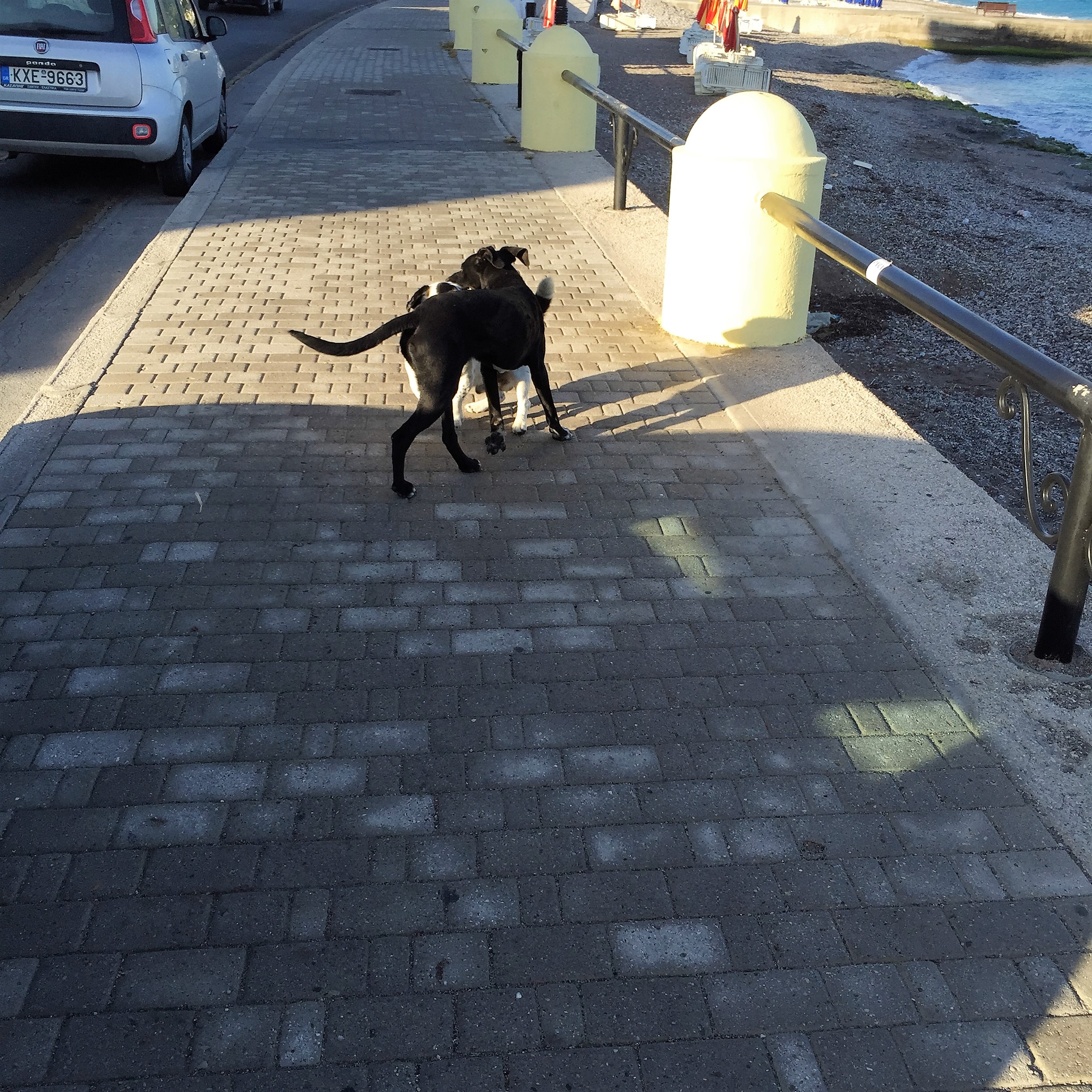 Beach Combing in Rhodes by Mel Rosenberg - מל רוזנברג - Ourboox.com