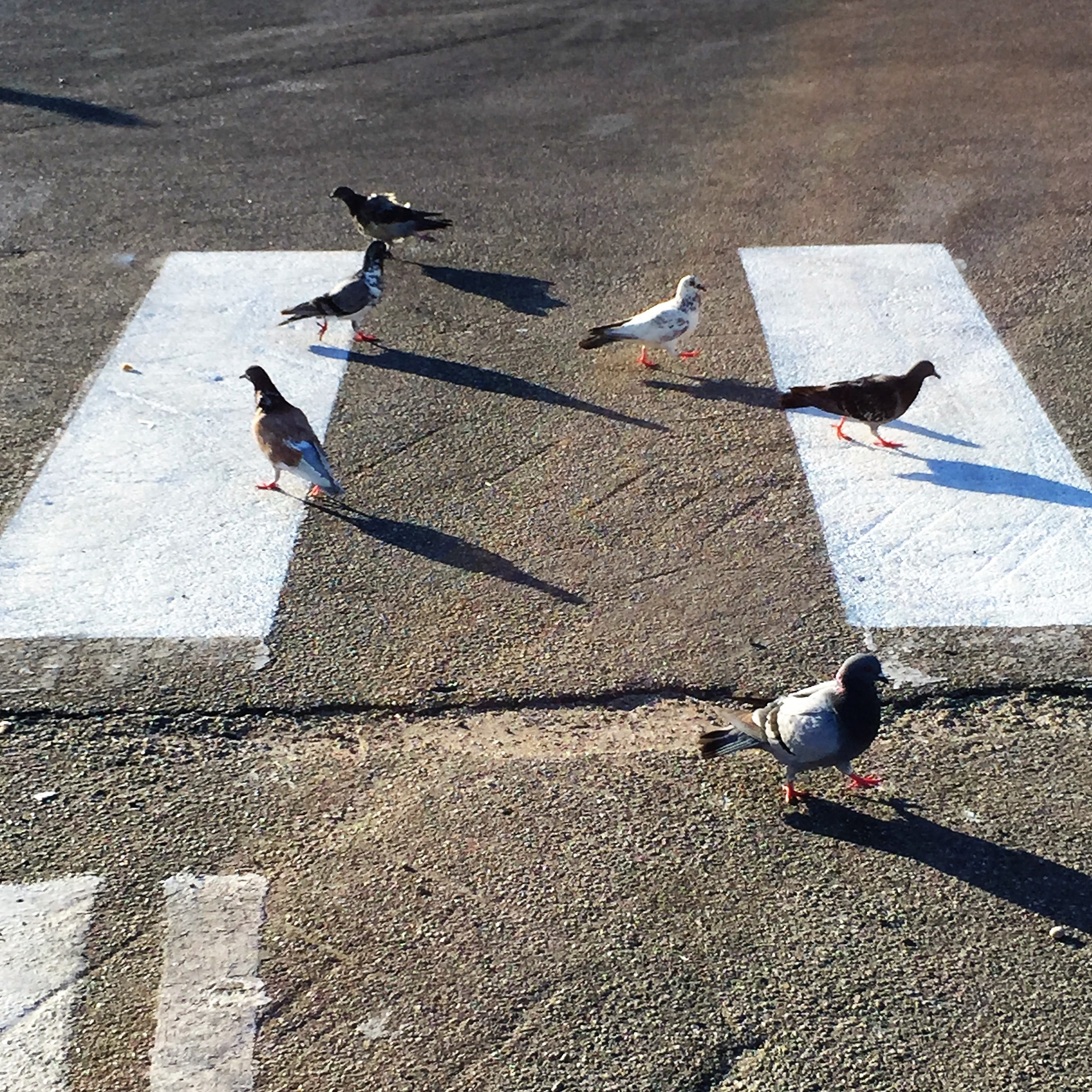 Beach Combing in Rhodes by Mel Rosenberg - מל רוזנברג - Ourboox.com